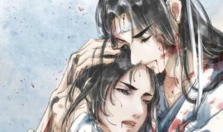 蓝忘机初次干魏无羡