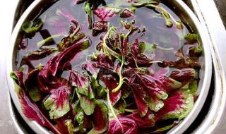 焯是什么梗 焯是什么梗