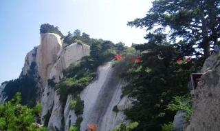 我以为歌词 我以为歌词