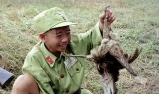 三毛历险记动漫 三毛历险记动漫